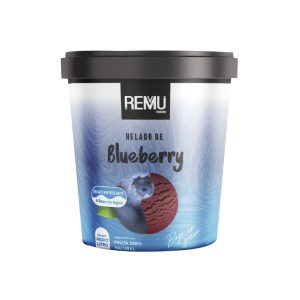 Helado Vegano Blueberry