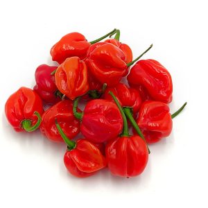 Chile habanero